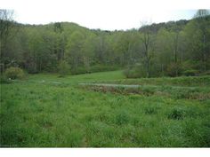 an empty field in the middle of a wooded area with trees and grass on both sides