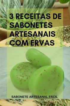 three different types of plants with the words 3 receitas de sabonetes artesanais comervas