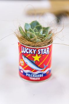 a lucky star tin can with a succulent in it's bottom is sitting on a table