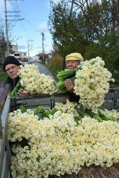 two men holding bunches of flowers in the back of a truck