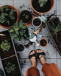 a person standing in front of several potted plants on a tile floor with their feet propped up