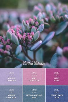 the color scheme for stitch balelos is shown in shades of blue, pink and purple