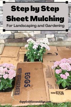 some pink flowers sitting on top of boxes in front of a brick wall with the words sheet mulching 101 for the diy landscaper