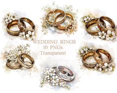 wedding rings with flowers and pearls are shown in this watercolor painting style illustration set