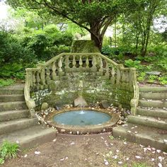 an old stone staircase with a fountain in the middle