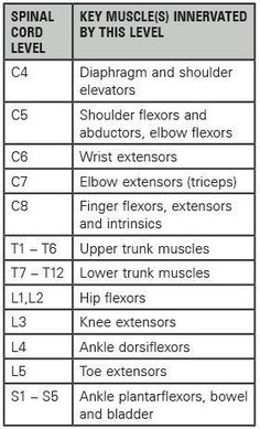 Nbcot Exam, Occupational Therapy Assistant, Nursing School Notes, Acute Care, Human Anatomy And Physiology