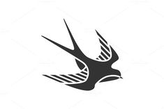 a bird flying in the sky with stripes on it's wings, black and white