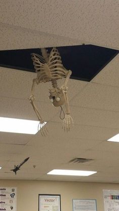 a skeleton hanging from the ceiling in an office