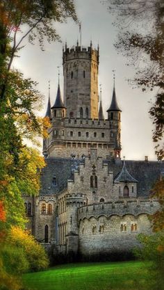 an old castle in the middle of trees