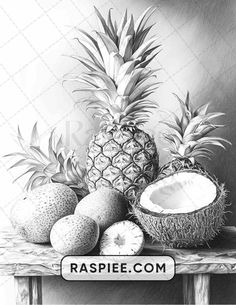 black and white drawing of pineapples, coconuts and kiwi on a table