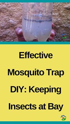 a hand holding a plastic cup filled with liquid and the words effective mosquito trap diy keeping insects at bay