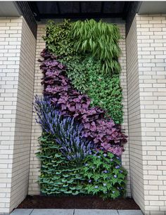 a vertical garden wall with purple flowers and green plants growing on the side of it