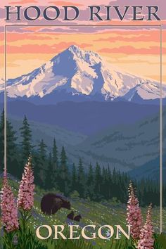 an image of a bear in the mountains with wildflowers and flowers around it