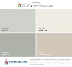 the color scheme for colorsnap visualizer is shown in red, white and blue