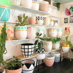 a room filled with lots of potted plants and pots on the shelves next to each other