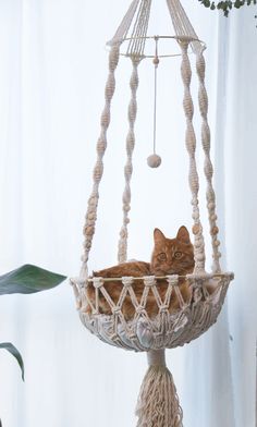 a cat laying in a hammock hanging from a window sill next to a potted plant