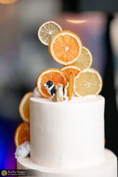 a white cake topped with orange slices and figurines on top of each other