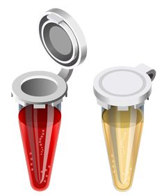 two blenders with lids on each one are red, yellow and green in color