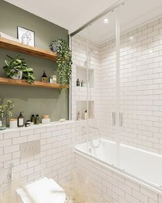 a white tiled bathroom with shelves above the bathtub and shower area, along with plants