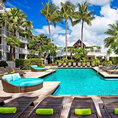 an outdoor swimming pool with lounge chairs and palm trees in the background at a resort