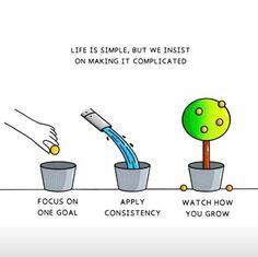 a cartoon depicting the stages of growing trees