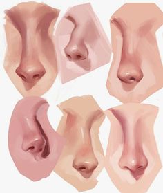 an image of different angles of nose shapes