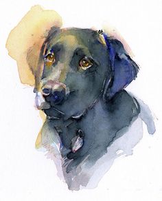 a watercolor painting of a black dog's head with yellow eyes and ears