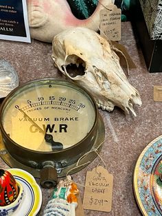 there are many items on the table including a skull and other things to be seen