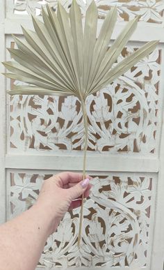 a person holding a large leaf in front of an intricate paneled wall behind them