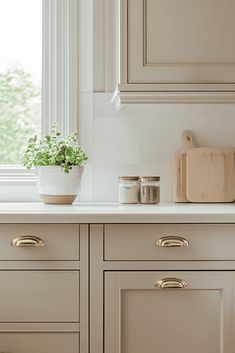 a kitchen with white cabinetry and gold pulls on the handles, along with a potted plant