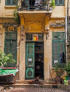 an old building with green shutters and a dog laying on the ground in front of it