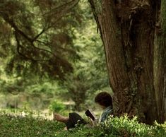 a person sitting under a tree in the woods with a book on their lap looking at something