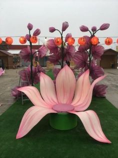 large pink flowers are on display at an outdoor event with green grass and orange lights