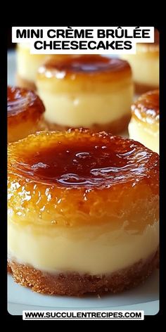 mini creme brulee cheesecakes on a plate with text overlay