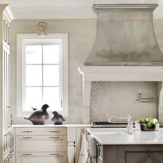 two birds are sitting on the counter top in this white and gray kitchen with stainless steel appliances