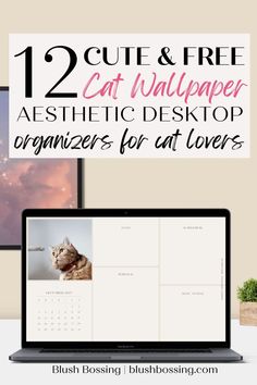 a laptop with the text 12 cute cat wallpaper aesthetic organizers can flowers will love