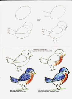 three different kinds of birds are shown in this drawing lesson for children to learn how to draw