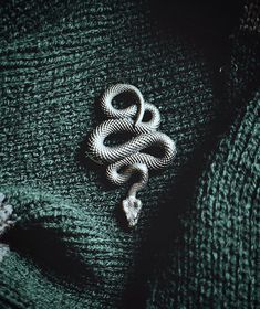 a snake is laying on top of a green sweater