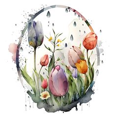 watercolor tulips and daisies in a circle with raindrops on the side