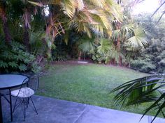 the back yard is full of palm trees and lawn furniture, as well as an outdoor dining table