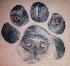 an animal's paw with four different eyes