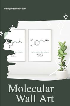 two posters with the words mollecular wall art on them and a potted plant