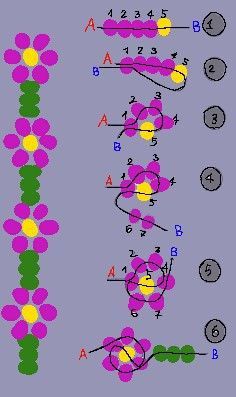 the diagram shows how many different flowers are arranged in order to make it look like they have