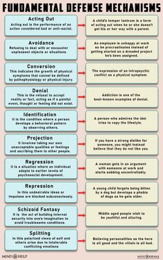 an info sheet describing how to use the foundational defense mechanism