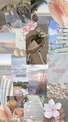 a collage of photos with flowers and shells on the beach in pinks, whites and greens