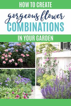 Plant Combinations: 10 Tips For Creating Flower Combinations That Work Gardening Benefits, Pruning Plants, Garden Companion Planting, House To Home, Gardening Inspiration, Flower Garden Design