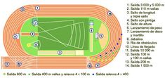 an overview of the stadium's seating area and its surrounding areas, with instructions on how to use it