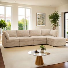 a living room filled with furniture next to two windows and a potted plant on top of a table