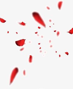 red petals falling down into the air on a white background