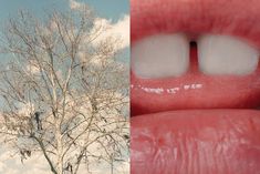 two photos one with red lips and the other with white teeth in front of a tree